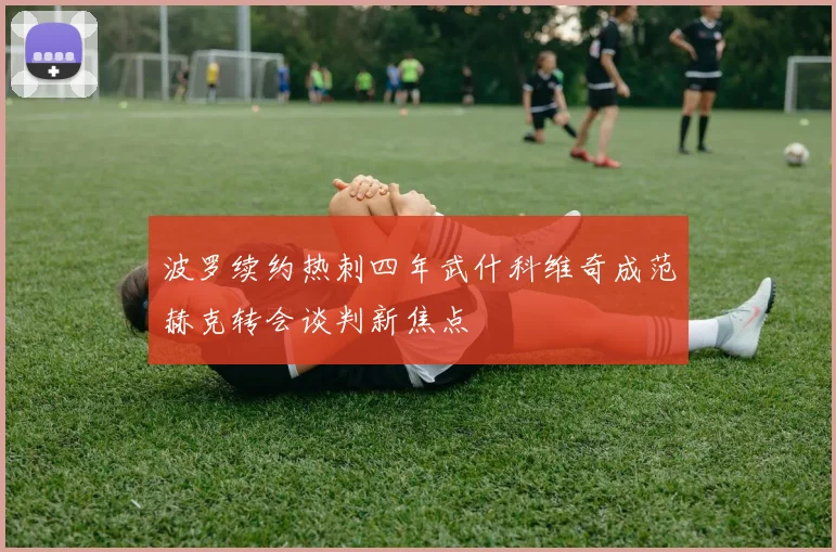 波罗续约热刺四年武什科维奇成范赫克转会谈判新焦点